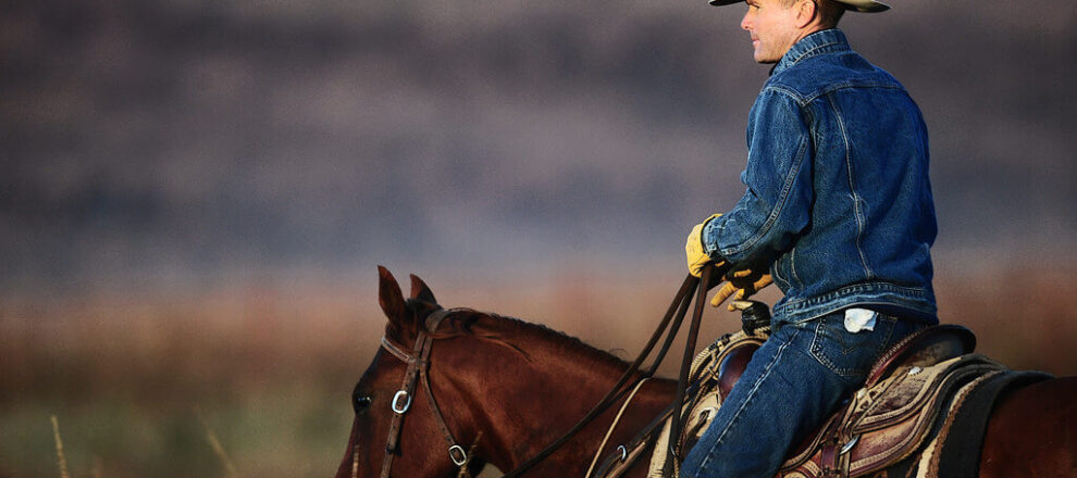 Cowboy Josh on The Pioneer Woman?