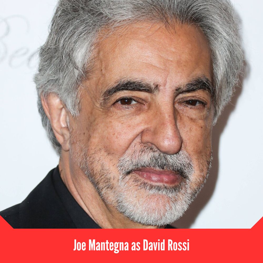 Joe Mantegna as David Rossi