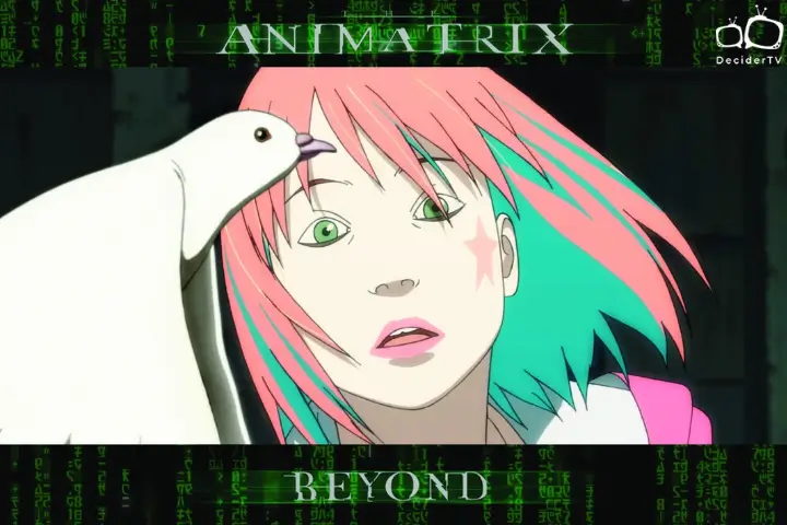 The Animatrix: Beyond