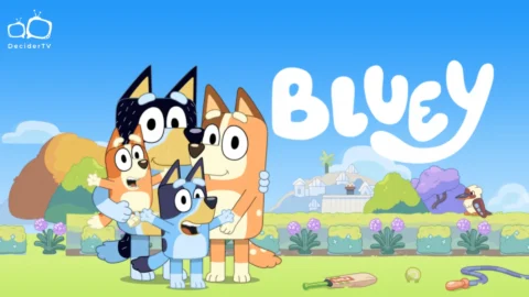 seasons of Bluey