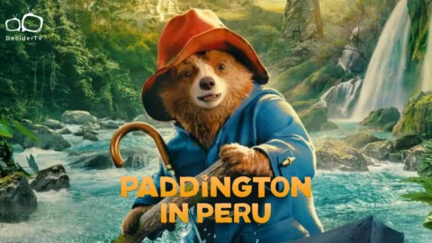 Paddington in Peru